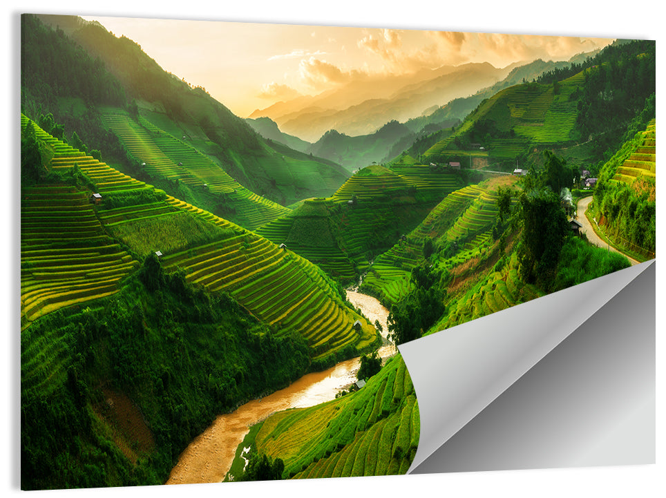 Terraced Rice Field Wall Art