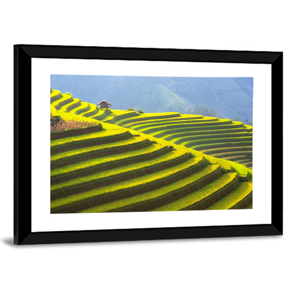 Rice Terrace Vietnam Wall Art
