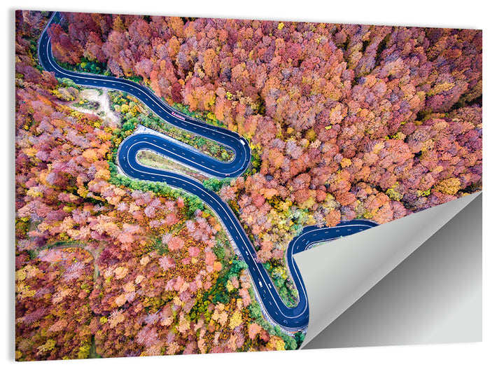 Serpentine Autumn Road Wall Art as a poster print