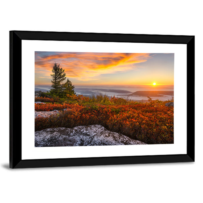 Sunrise Over Dolly Sods Wall Art as a framed print