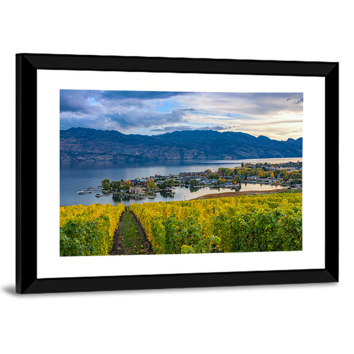 Okanagan Lake Vineyard, Kelowna Wall Art as a framed print