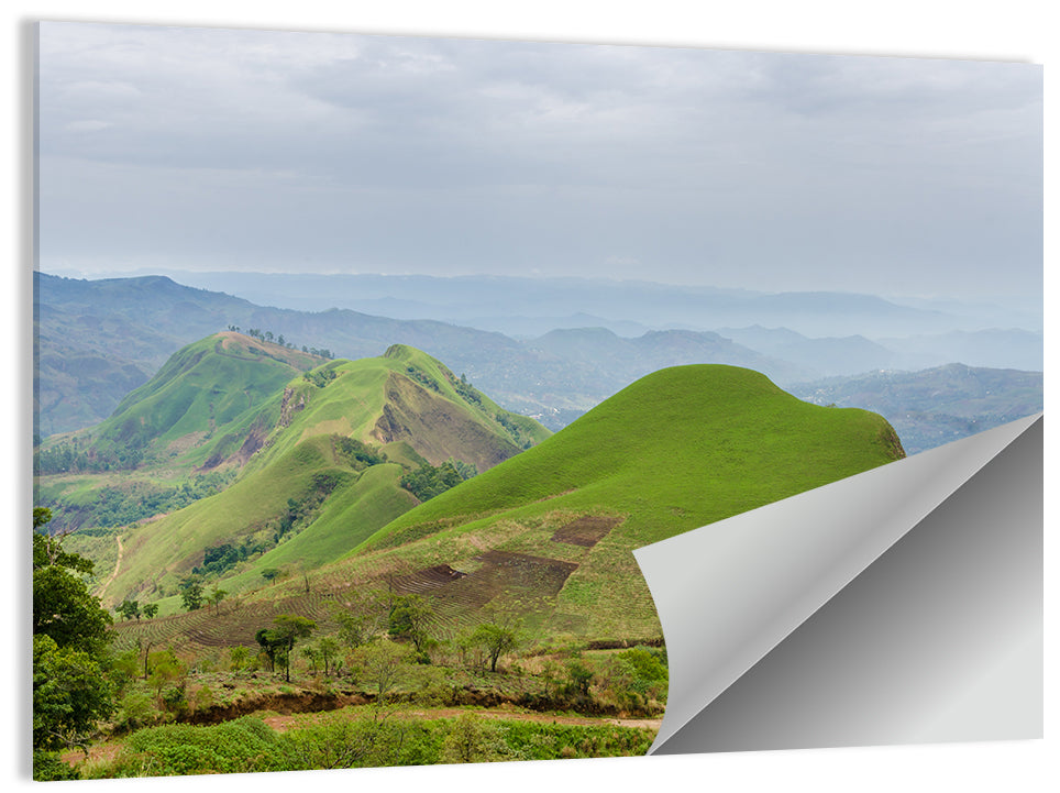 Summer Hills Wall Art