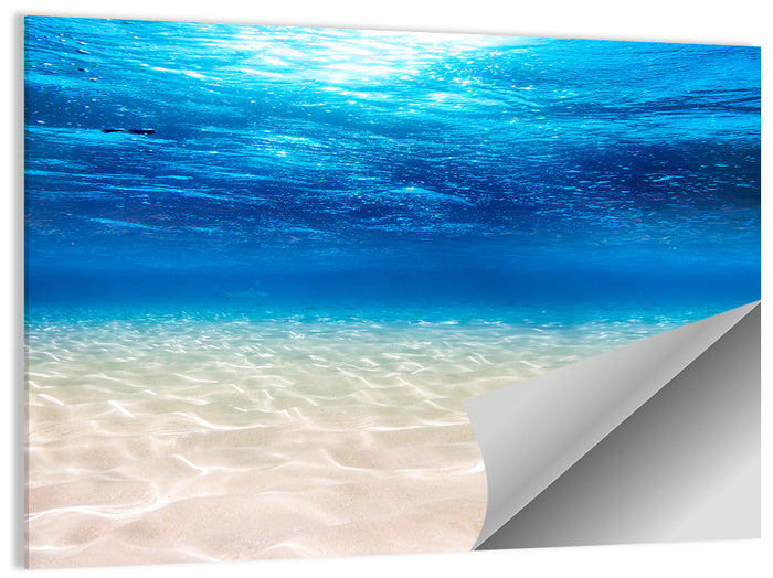 Sunlit Sandy Seabed Wall Art as a poster print