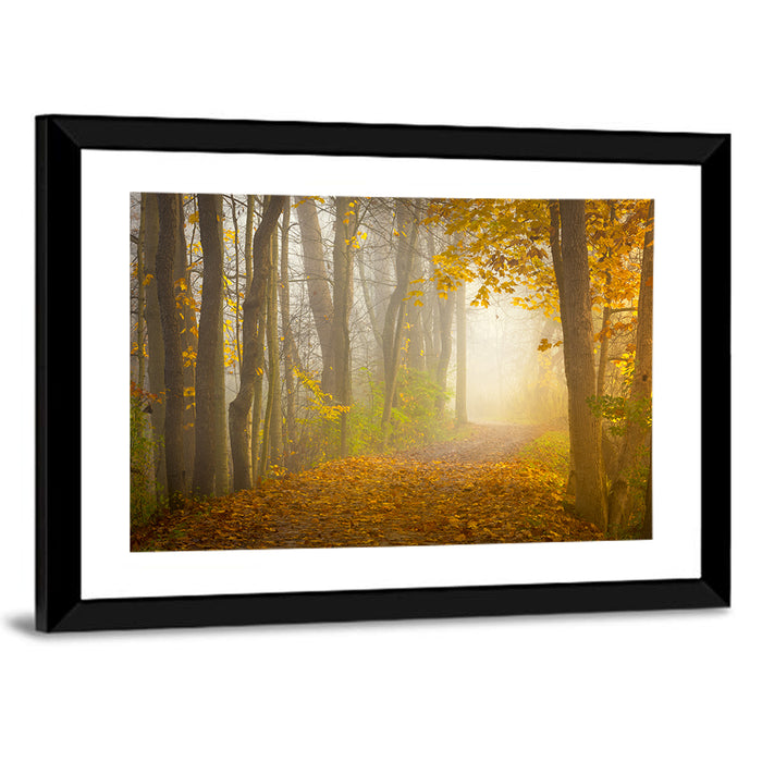 Cuyahoga Valley Autumn Path Wall Art as a framed print