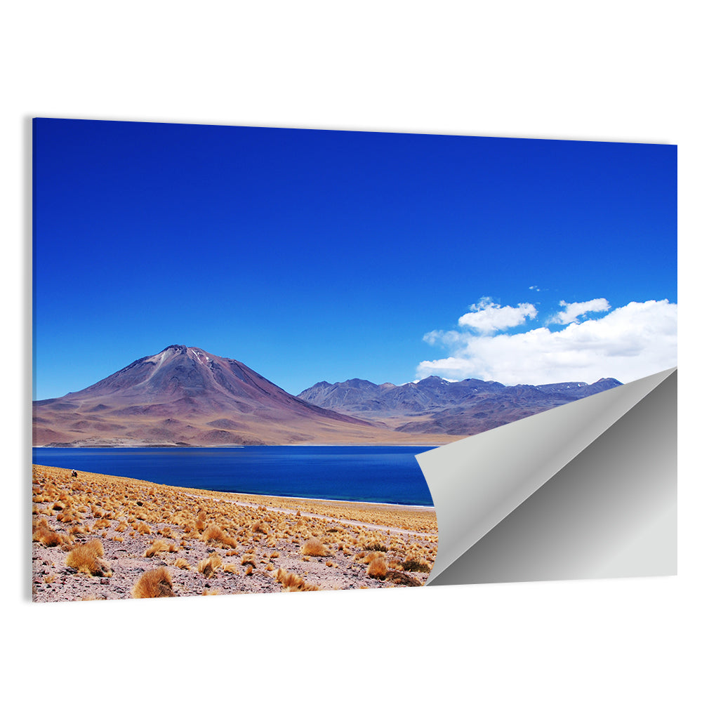 Lake Miscanti & Miniques Volcano Wall Art