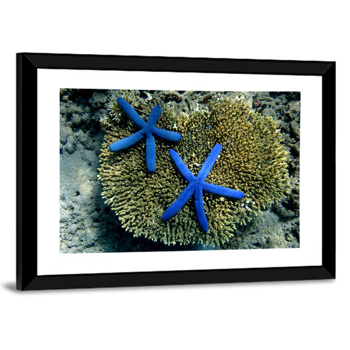 Blue Starfish Wall Art as a framed print