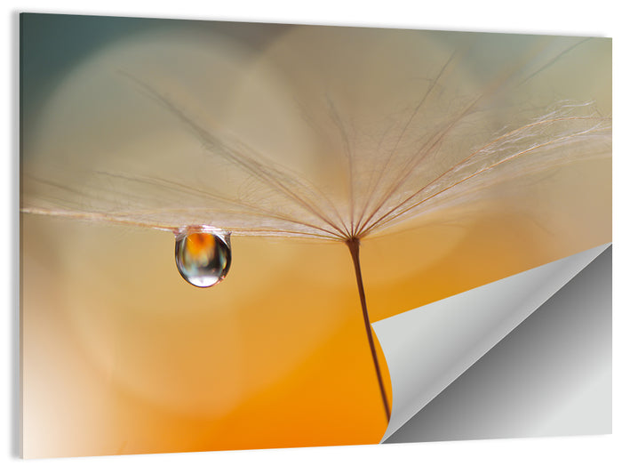 Dandelion Seed with Droplet Wall Art as a poster print
