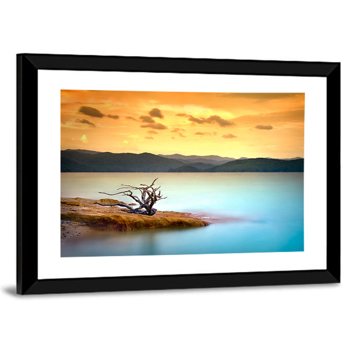 Gnarled Driftwood at Turquoise Lake Wall Art as a framed print