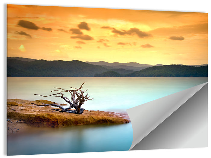 Gnarled Driftwood at Turquoise Lake Wall Art as a poster print