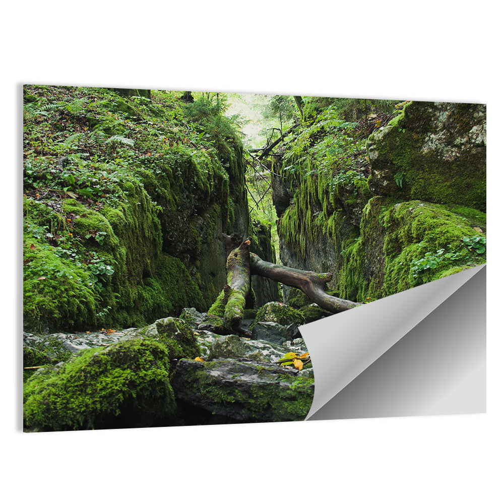 Kammersee Cleft Wall Art