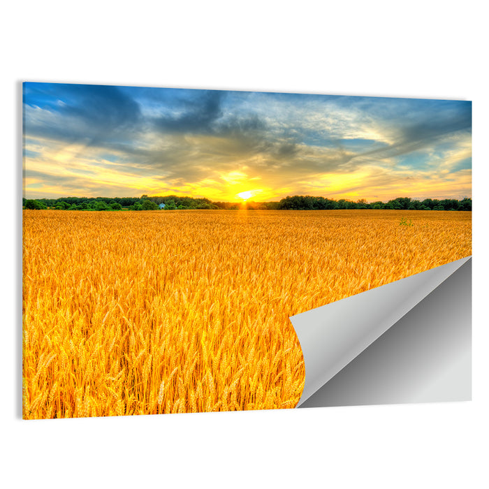 Wheat Field Sunset Wall Art as a poster print