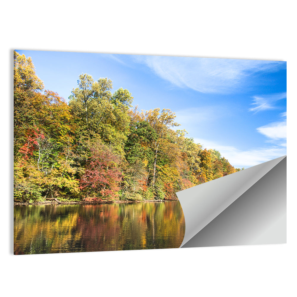 Lake Surprise Wall Art