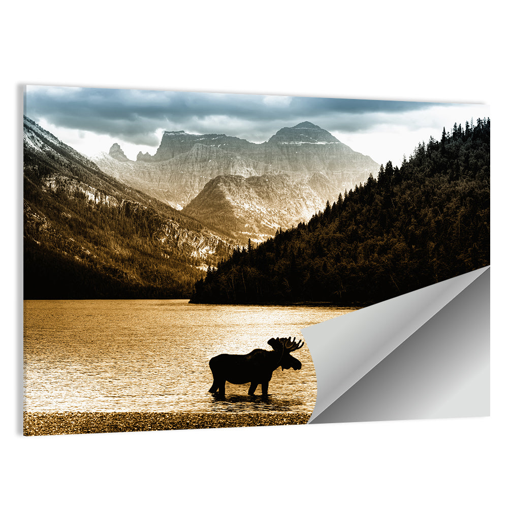Moose In Waterton Lake Wall Art