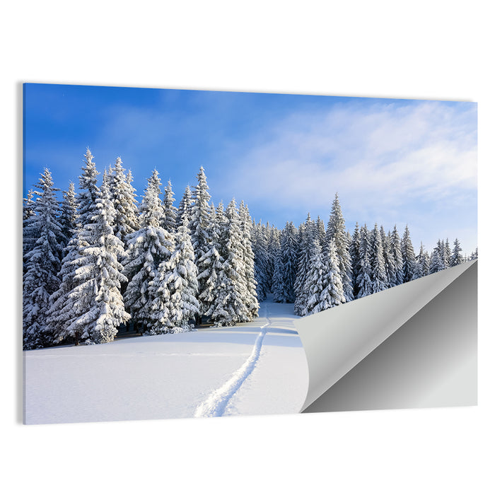 Snowy Mountain Forest Path Wall Art as a poster print