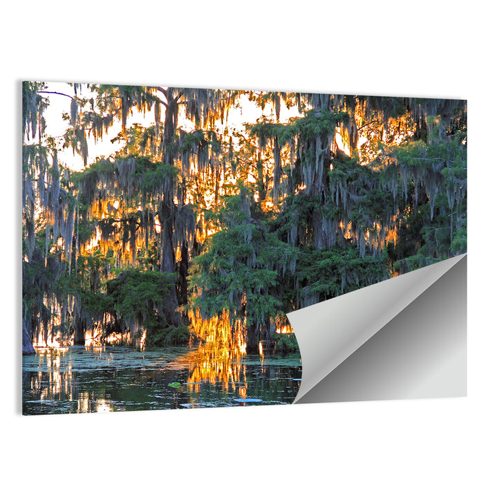 Lake Martin Cypress Reflection Wall Art as a poster print
