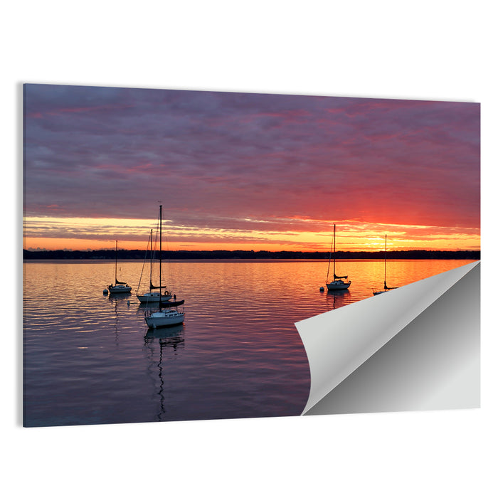 Lake Mendota Sailboats at Sunset Wall Art as a poster print