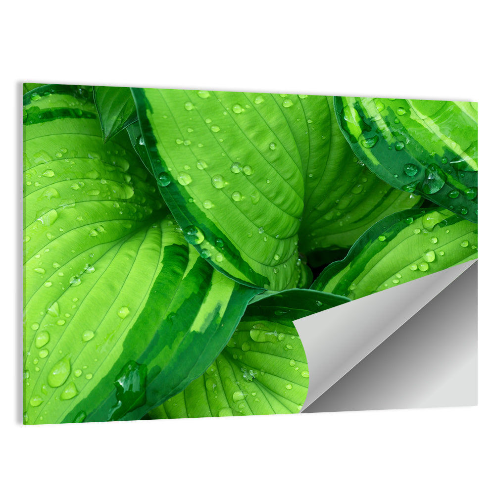 Botanical Foliage Wall Art