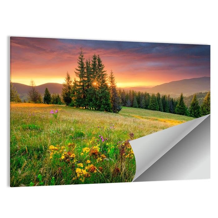 Sunset Meadow with Wildflowers Wall Art as a poster print