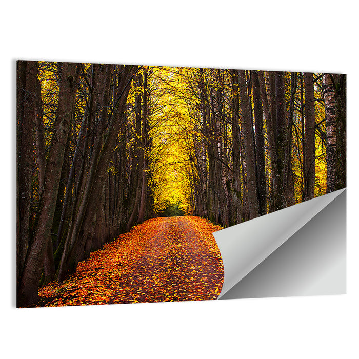 Autumn Park Path Under Yellow Canopy Wall Art as a poster print