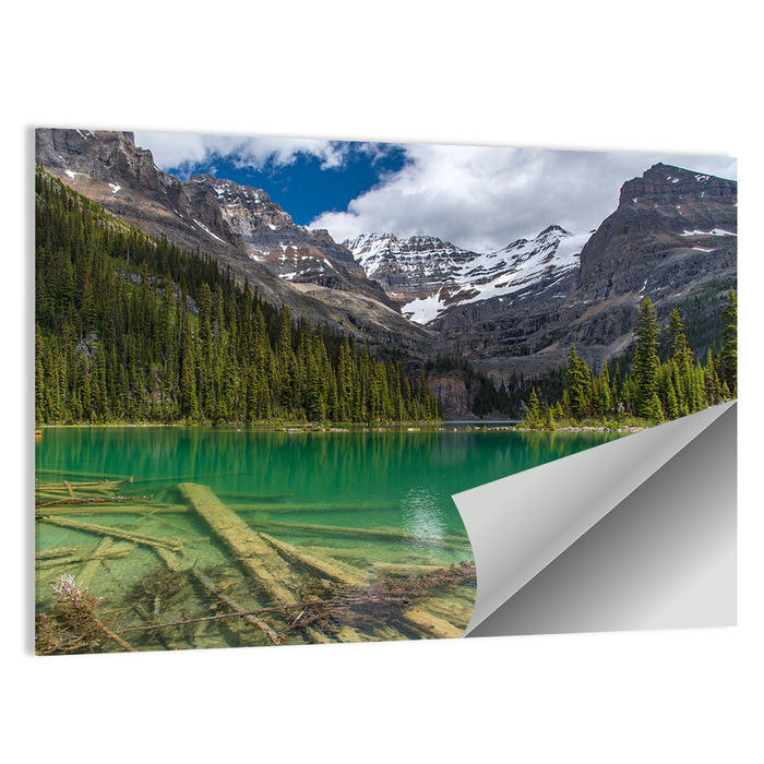 Lake O'hara Reflection Wall Art as a poster print