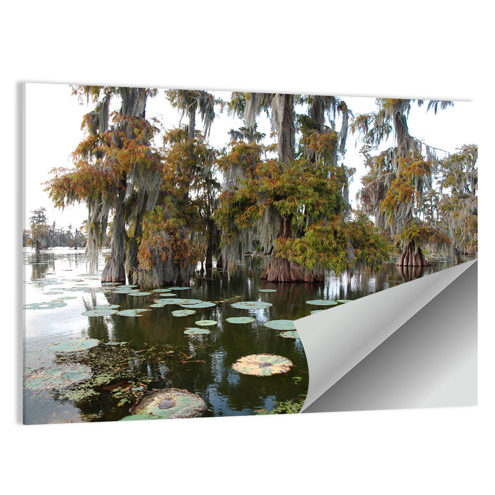 Lake Martin Wall Art