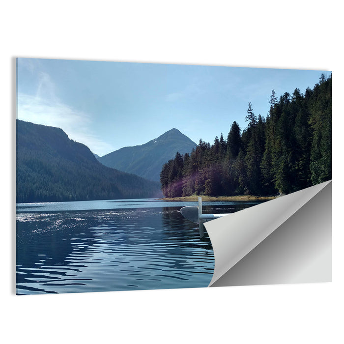 Tongass National Forest Seaplane View Wall Art as a poster print