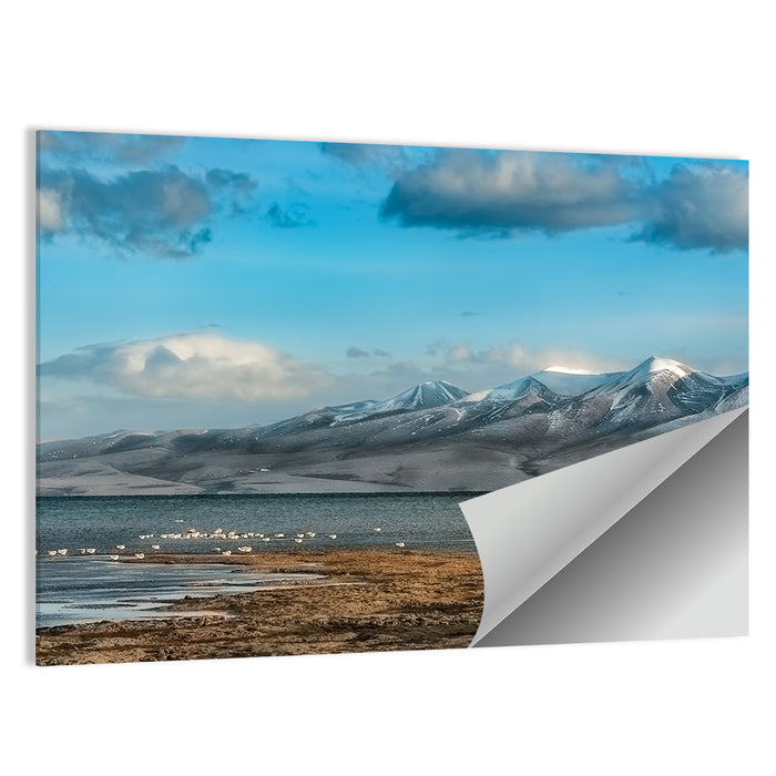 Lake Manasarovar Shoreline Wall Art as a poster print