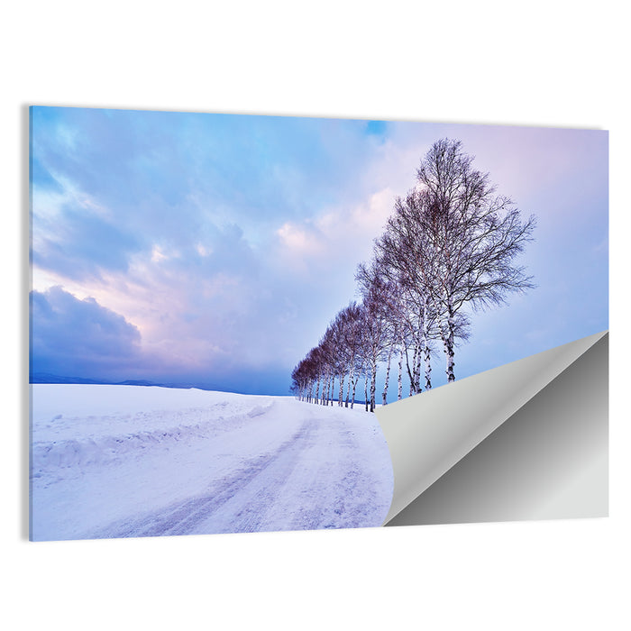 Snowy Birch Road in Hokkaido Wall Art as a poster print