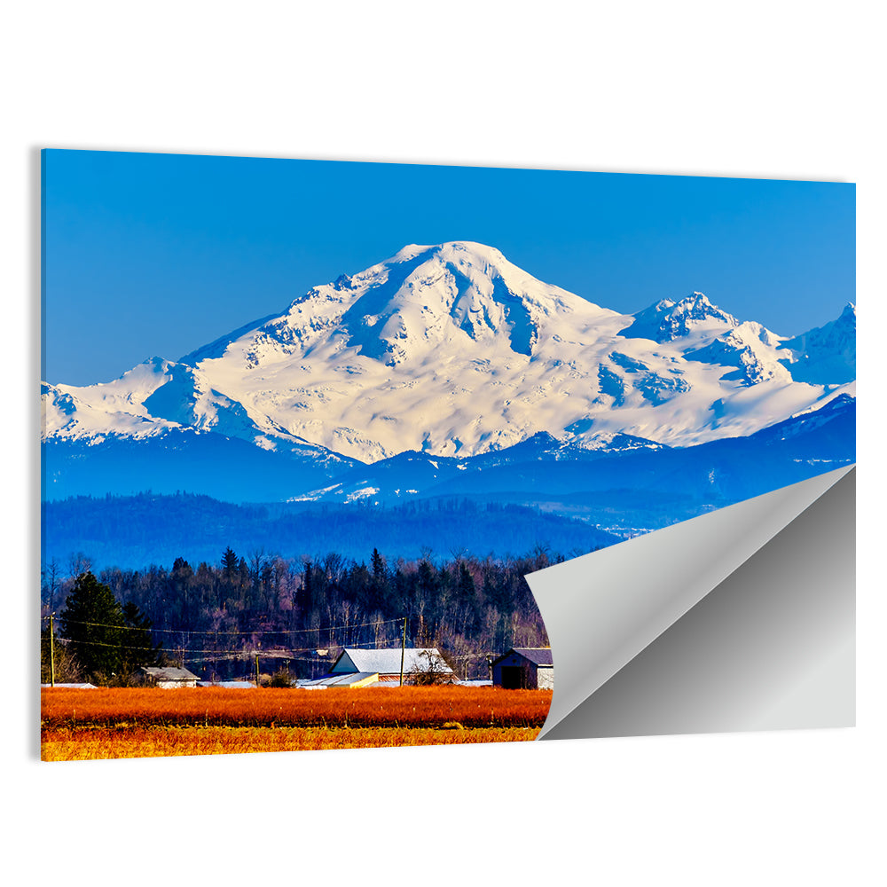 Mount Baker Wall Art