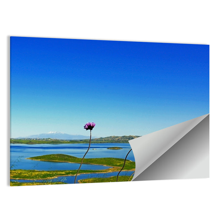Lake Mathews Wildflower View Wall Art as a poster print
