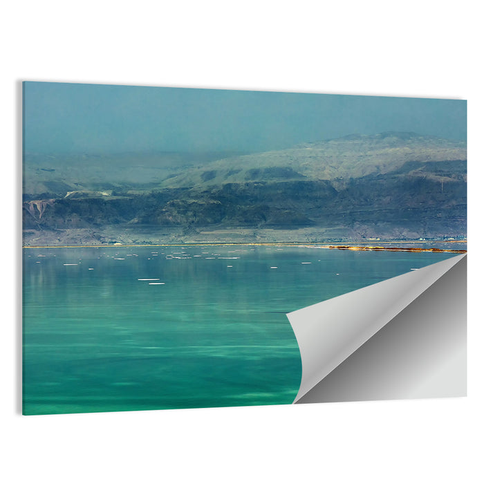 Dead Sea Shoreline Wall Art as a poster print
