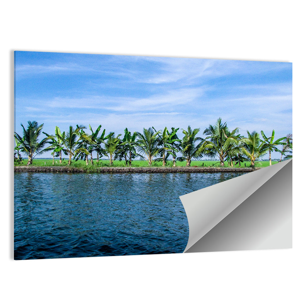 Vembanad Lake Wall Art