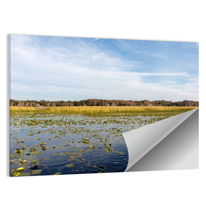 Cloudy Lake Toho Wall Art as a poster print