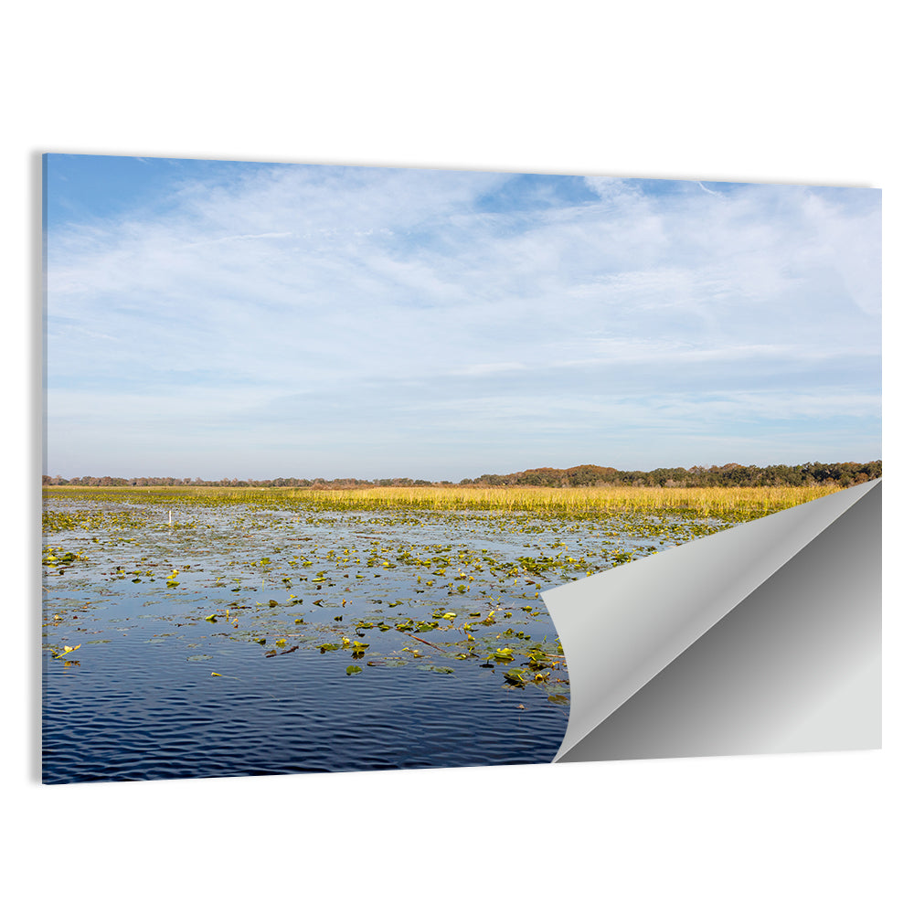 Lake Toho Wall Art