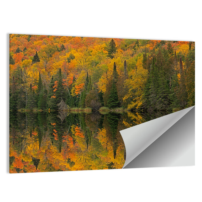 Ottawa National Forest Autumn Reflection Wall Art as a poster print
