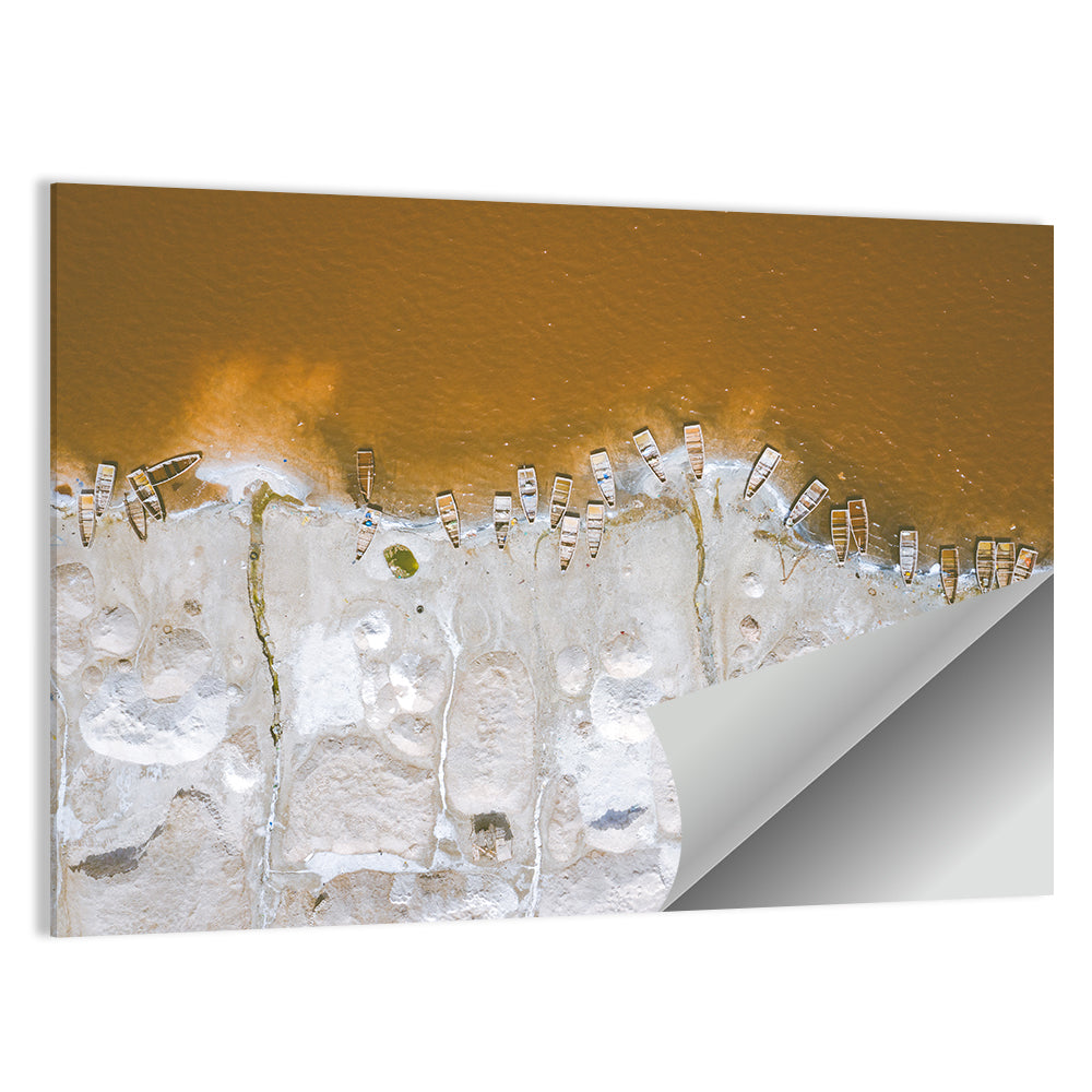 Lake Rose Senegal Wall Art