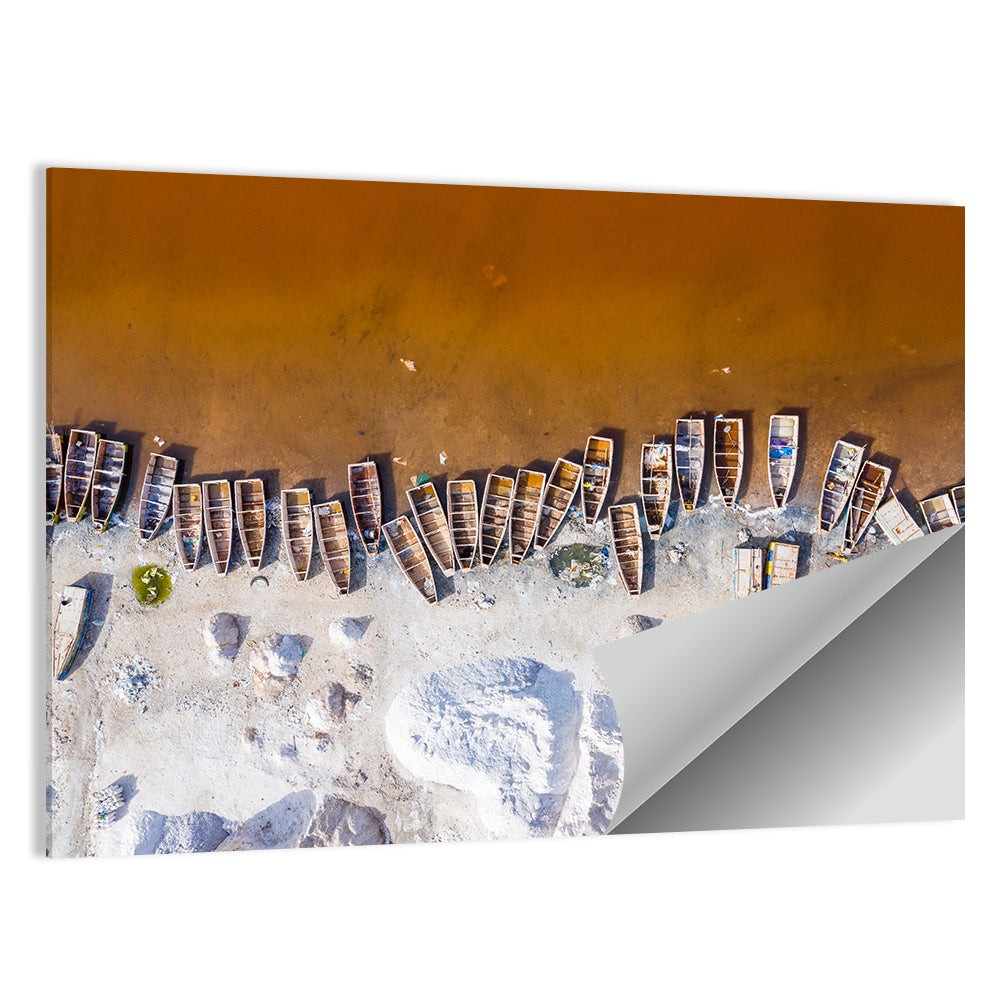 Lac Rose Aerial Wall Art