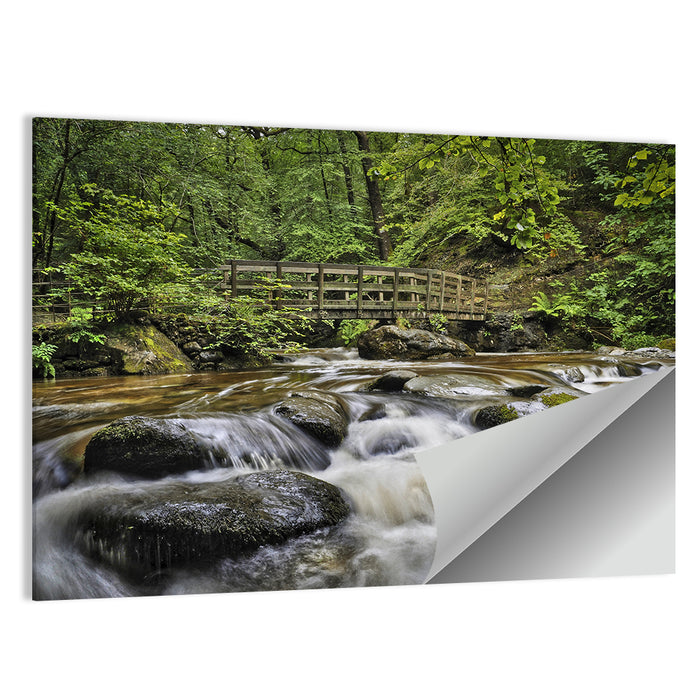 Stock Ghyll Footbridge Forest Stream Wall Art as a poster print
