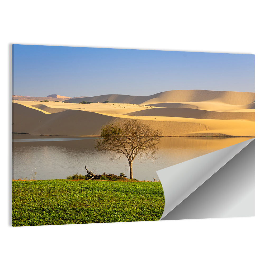 Sand Dunes In Mui Ne Wall Art