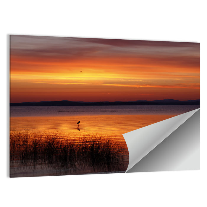 Lake Champlain Sunrise with Heron Wall Art as a poster print