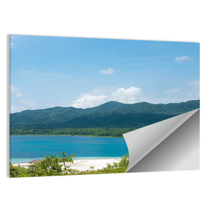 Usori Lake Shoreline Wall Art as a poster print