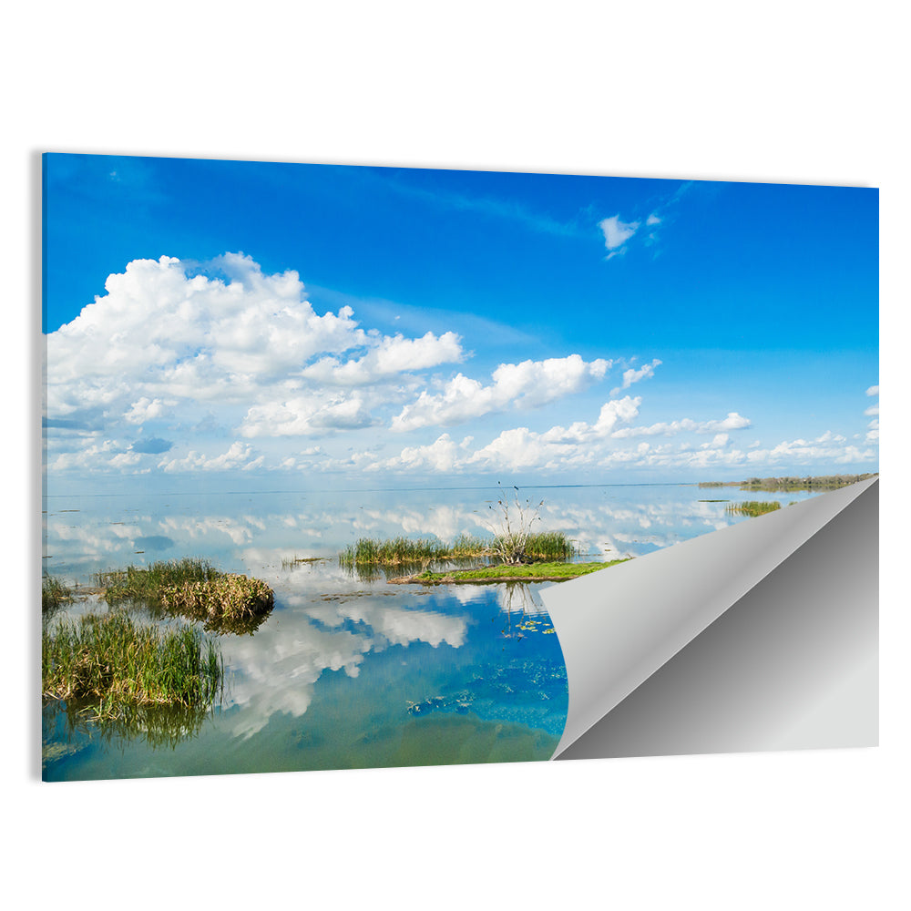 Lake Apopka Wall Art