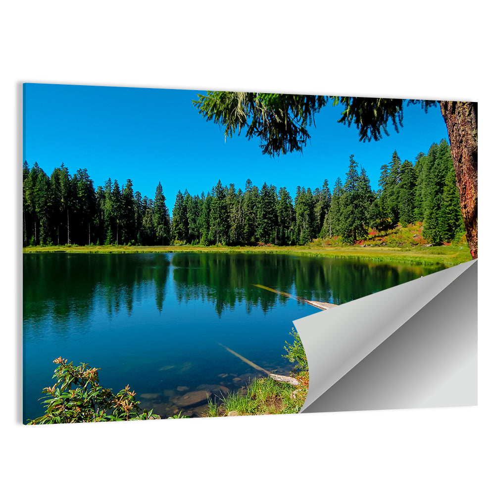 Parrish Lake Wall Art