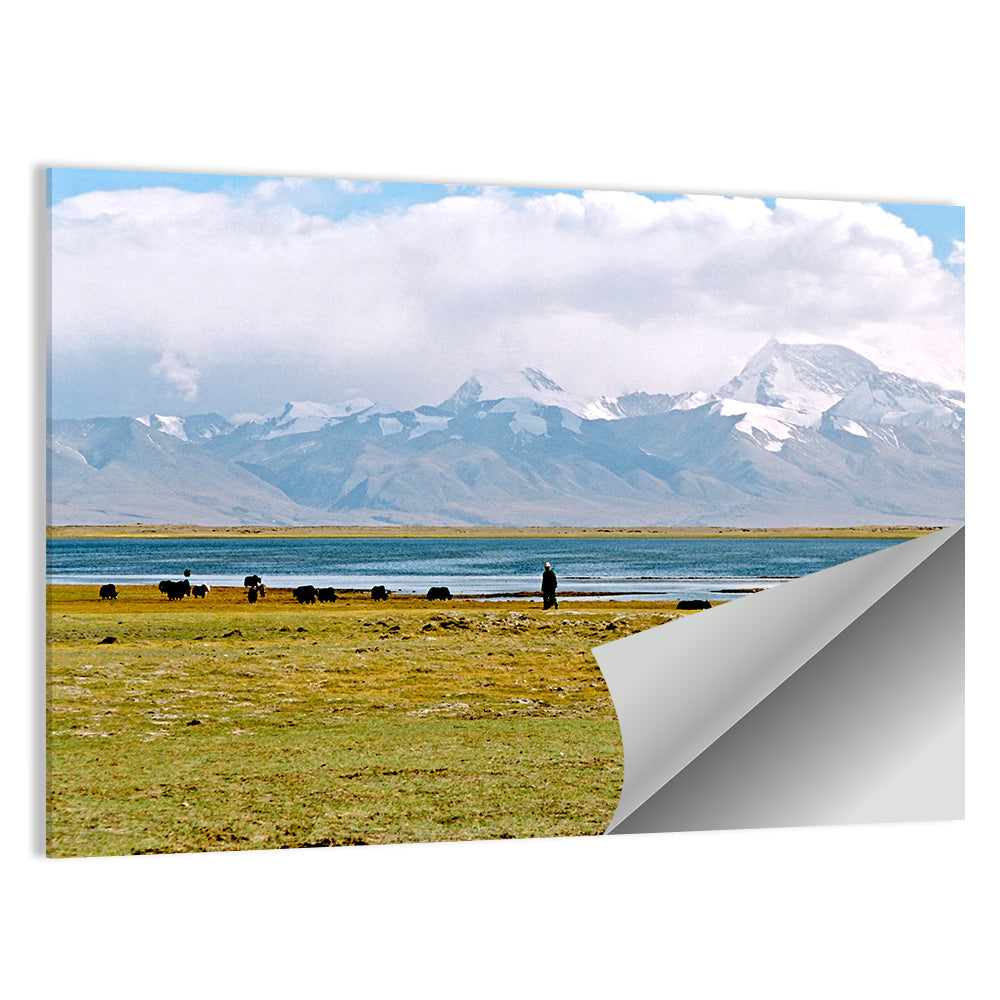 Kailash Mount from Manasarovar Lake Wall Art