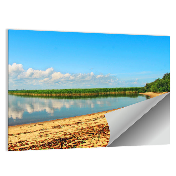 Lake Pskov Shoreline Wall Art as a poster print