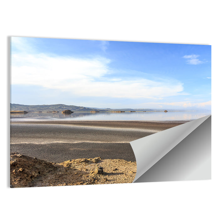 Lake Natron Flamingos Wall Art as a poster print