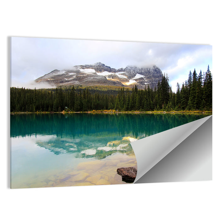 Lake O Hara Mountain Reflection Wall Art as a poster print