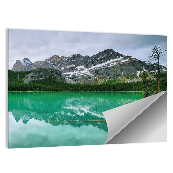 Lake O'hara Reflection Wall Art as a poster print