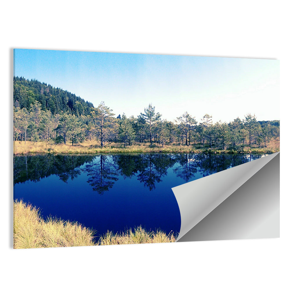 Tundra Reservation Park Lake Wall Art