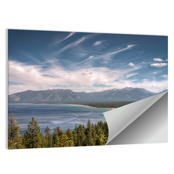 Pines Above a Blue Lake Wall Art as a poster print